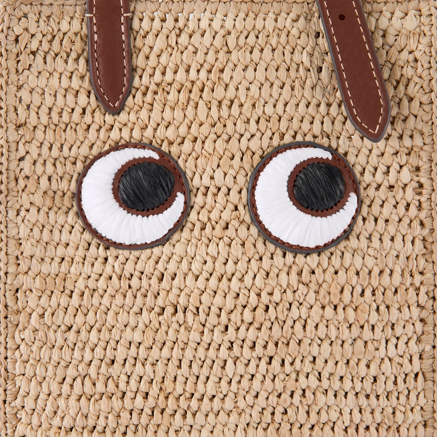 N/S Raffia Eyes Mini Cross-body Tote - Image 4