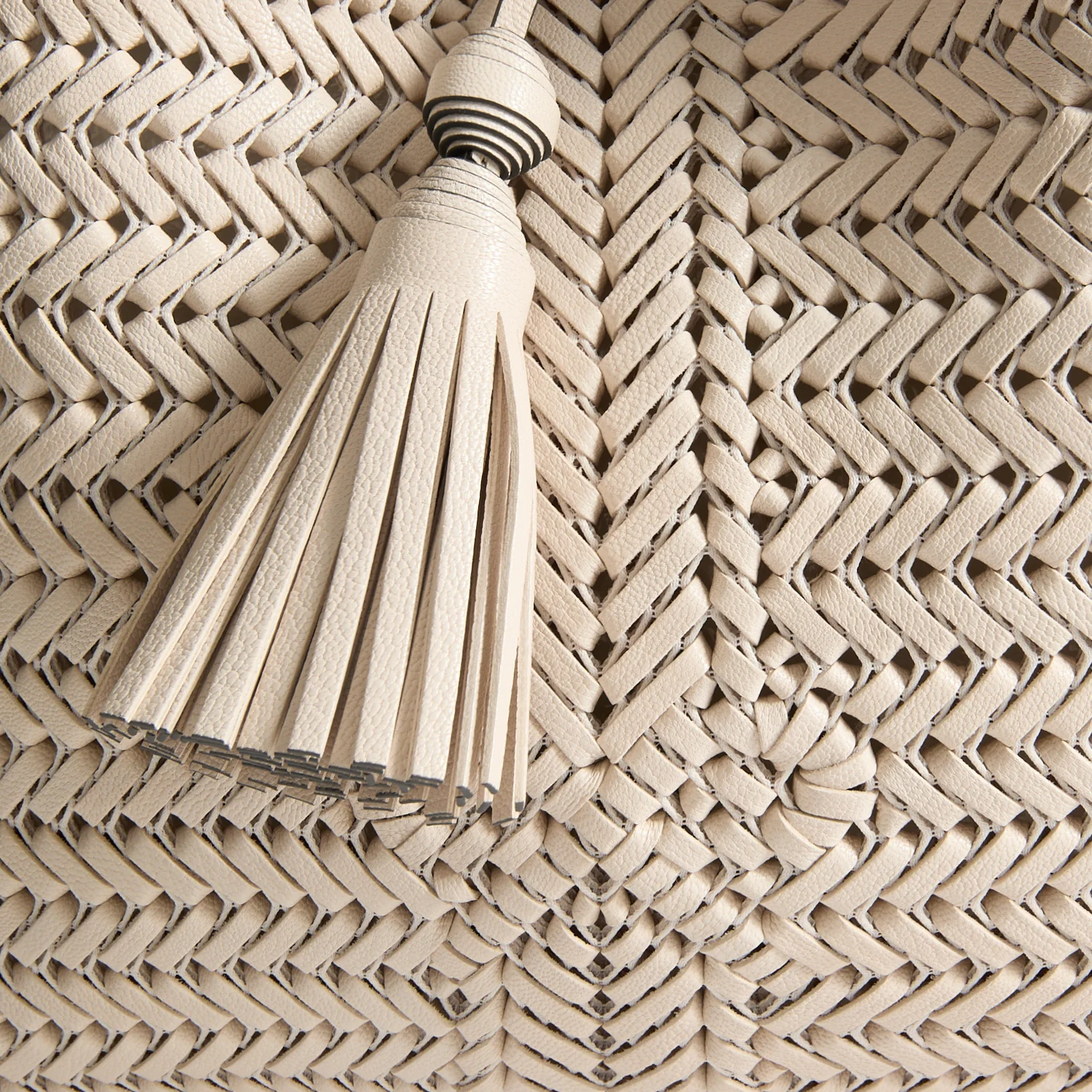 Neeson Tassel Hobo Bag - Image 5